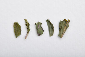 SereniTea Peppermint Loose Leaf Tea
